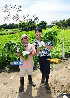 乘风2024 综艺 2024 湖南卫视